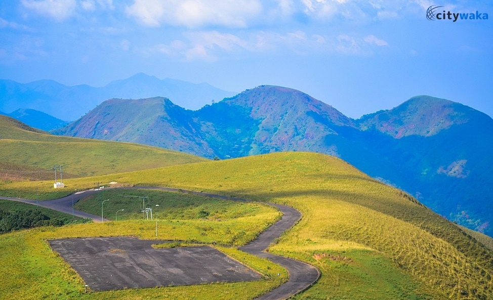 Obudu Mountain Resort ▷ Location, Updated Pricing and Review